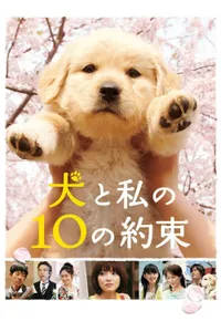 10 Promises to My Dog izle