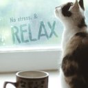 Minerva1 adlı kullanıcı