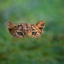 doktor adlı kullanıcı